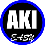 Aki Easy